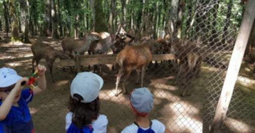 36833990_2212782518950275_7512581645396869120_o