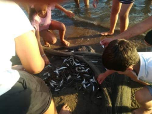 41496100_10210400241636043_753586719713918976_n